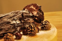 Feestdagen: Bûche de Noël (kerstboomstam)