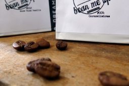 Review: Let’s go hazelnuts!