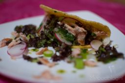 Zalm taco’s