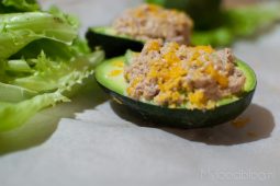 De gezondere tuna melt