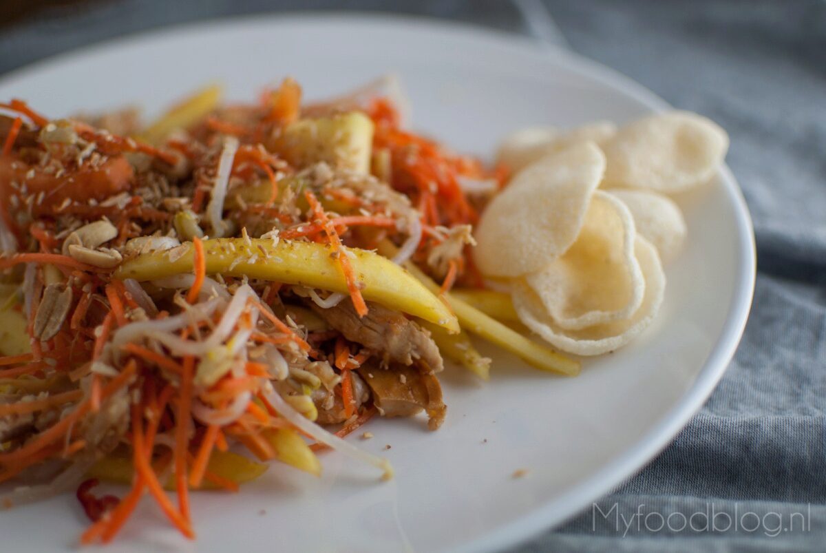 Aziatische salade met kip, mango en papaja