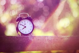 Back 2 school – dé ultieme gids!