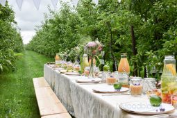 Heerlijk proeven, kijken en slenteren tussen de appelbomen