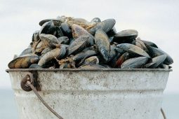 Wat te doen in Zandvoort 7-9 juli? Keep calm & get British!