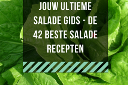 De ultieme salade gids – 42 salade recepten