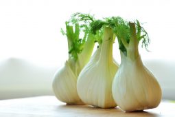 26 x de lekkerste venkel recepten