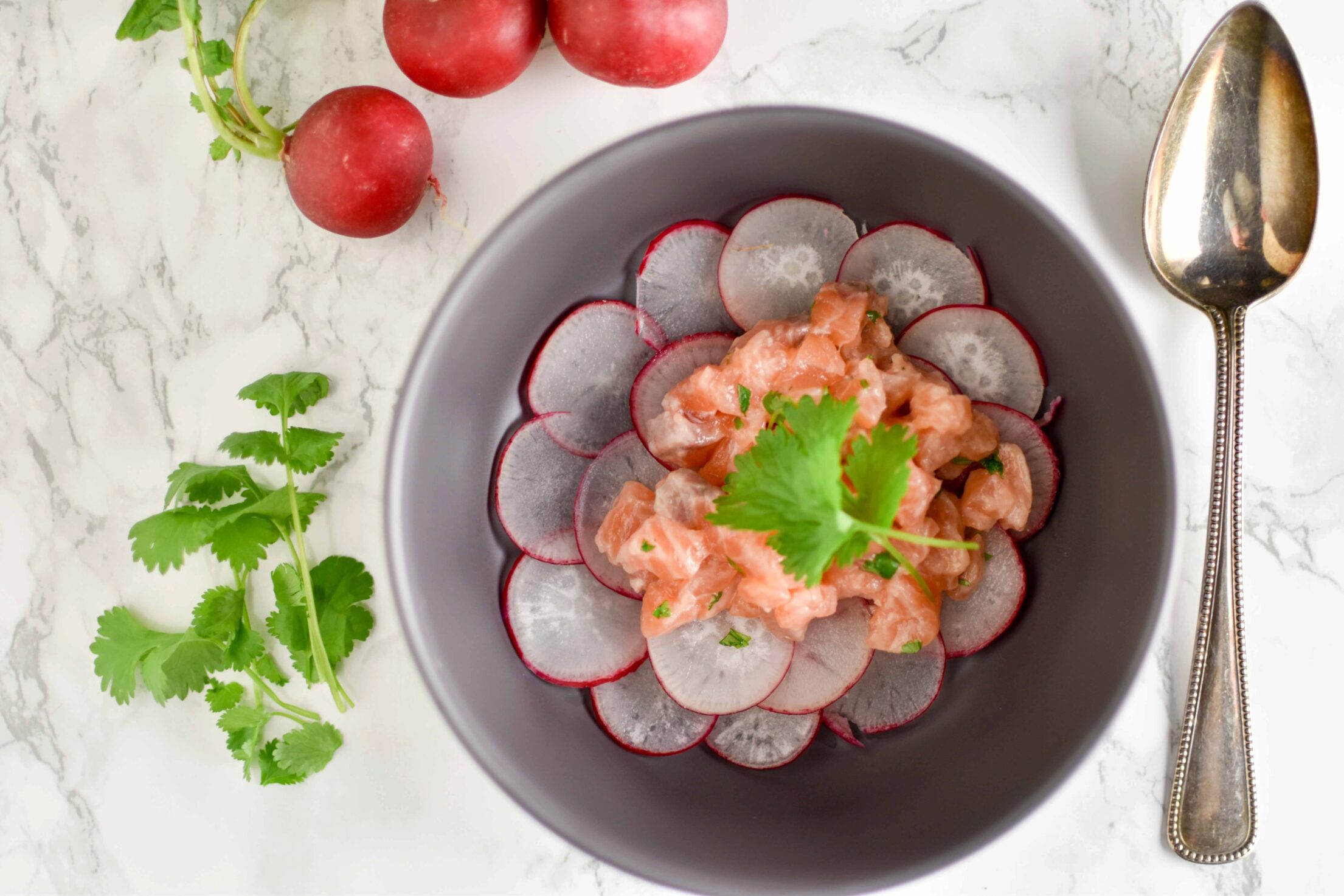 Zalm ceviche met radijs
