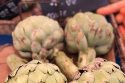 Stedentrip Nice: 15 dingen je kunt doen!