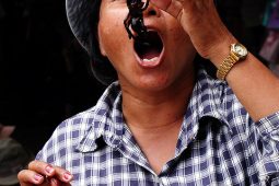 De bijzonderste gerechten op reis: gefrituurde spinnen in Cambodja