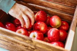 Alles over groente & fruit