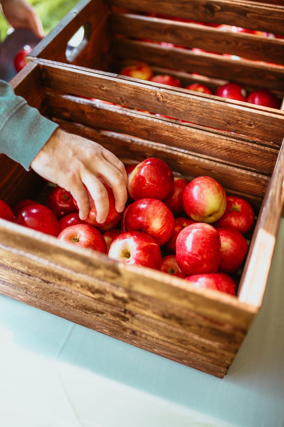Alles over groente & fruit