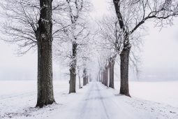 Winterdip? Deze voedingsmiddelen kun je beter laten staan.