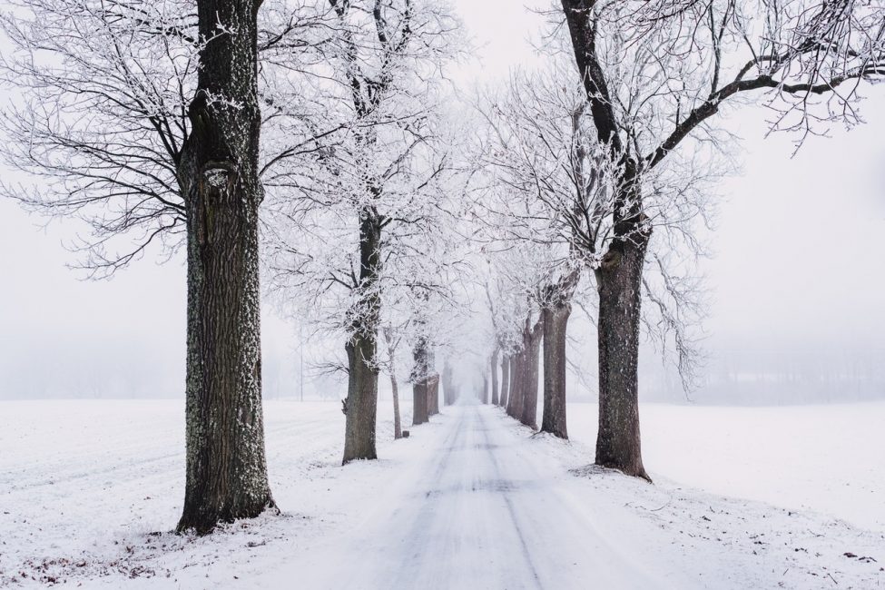 Winterdip? Deze voedingsmiddelen kun je beter laten staan.
