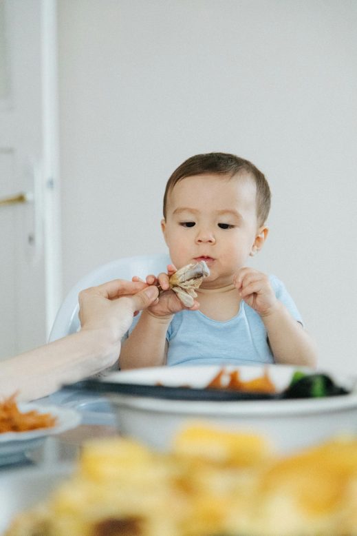 baby led weaning / rapley methode